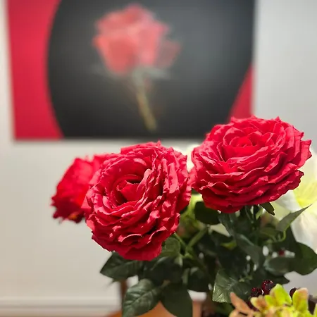 Apartment Amplio Y Centrico Piso Con Patio. A Coruna