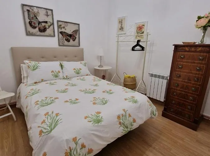 Amplio Y Céntrico Piso Con Patio. La Corogne