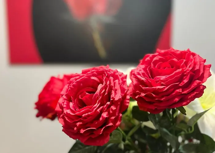 Lägenhet Amplio Y Centrico Piso Con Patio. A Coruña